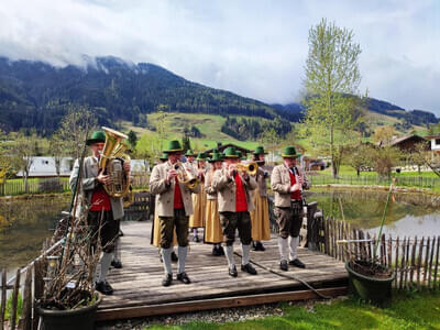  Bild 7