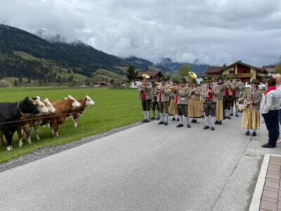  Bild 6